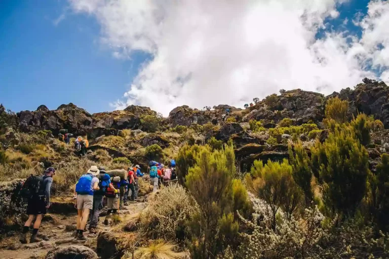 Machame Route – 6 Days Kilimanjaro Climb