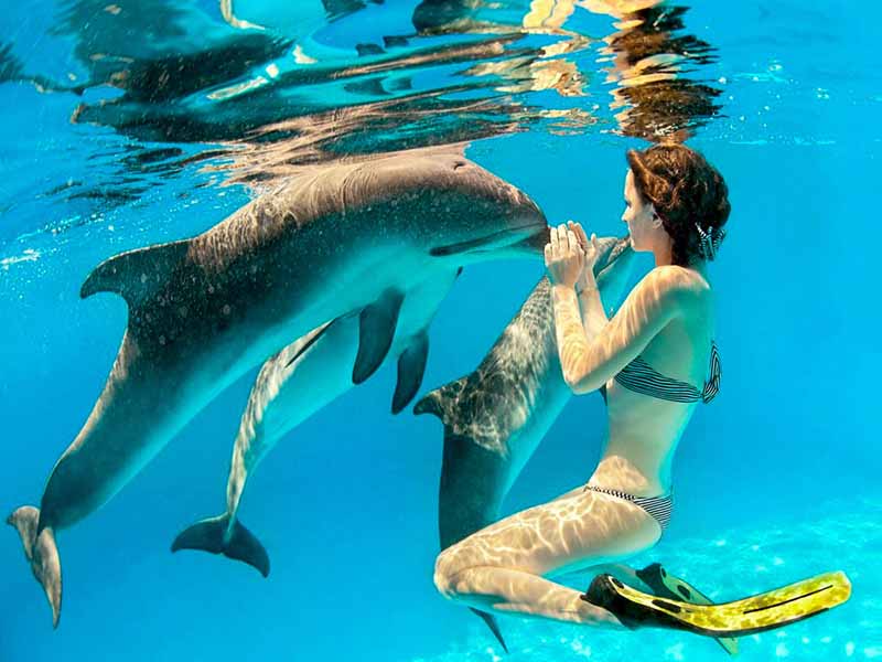 Zanzibar Travel Guide