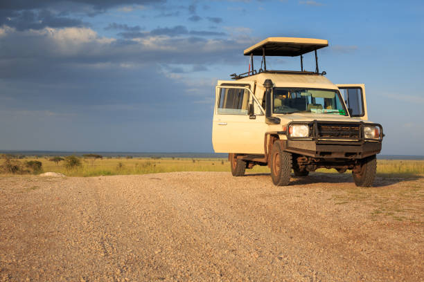 3 Days Tanzania Luxury Safari