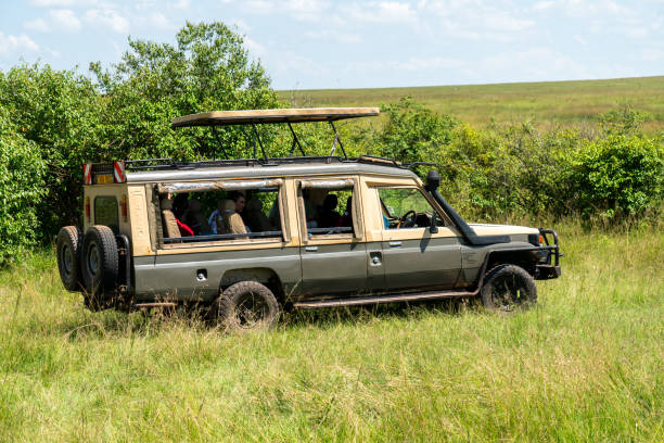 Best Safari Vehicles in Tanzania | Guide to Choosing the Right Game Drive Vehicle