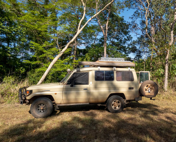 Best Safari Vehicles in Tanzania | Guide to Choosing the Right Game Drive Vehicle